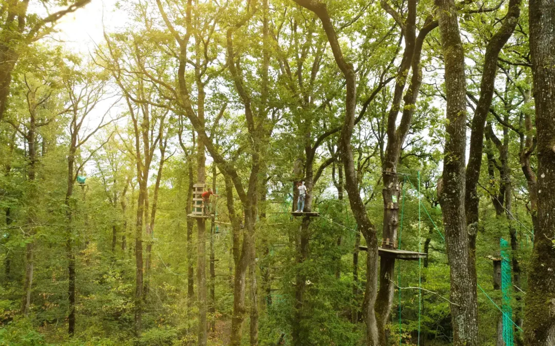 O’Fun Park : Horaires, Tarifs et Réservations – Tout ce qu’il Faut Savoir