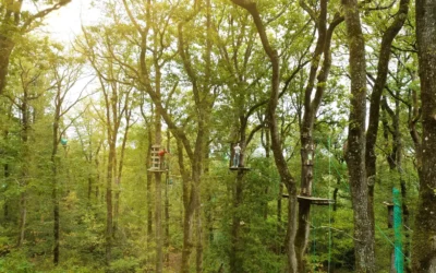 O&rsquo;Fun Park : Horaires, Tarifs et Réservations – Tout ce qu’il Faut Savoir