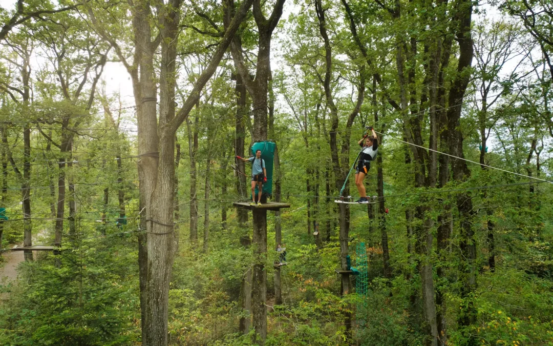 Accrobranche : des parcours sportifs