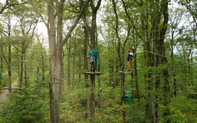 Accrobranche : des parcours sportifs