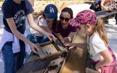Aventure et sensation : pourquoi venir à O’Fun Park