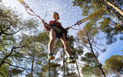 Fun Zone : quelles sont les activités préférées des visiteurs ?