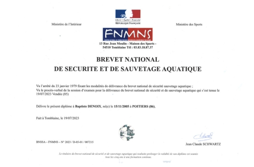 BNSSA-BAPTISTE-DENOIS diplome BNSSA