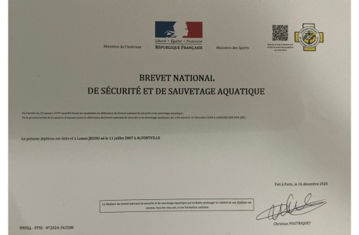 BNSSA-LOANN-JEGOU diplome BNSSA