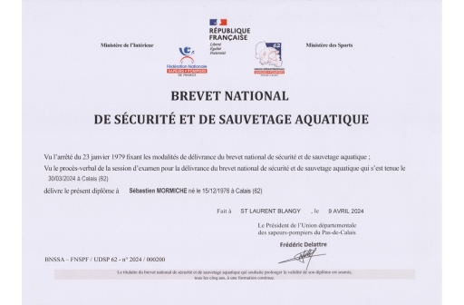 BNSSA-SEBASTIEN-MORMICHE diplome BNSSA