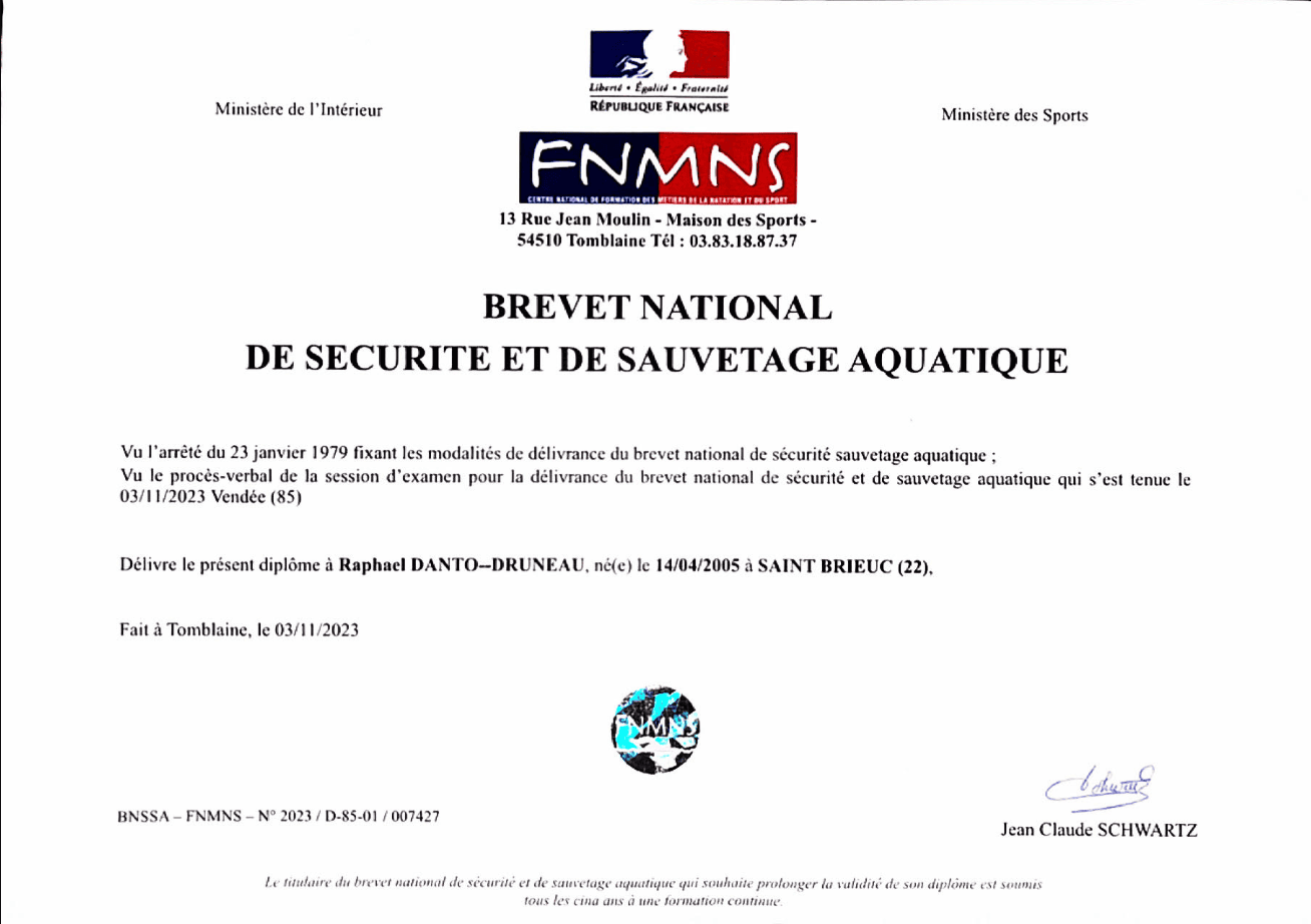 diplome BNSSA
